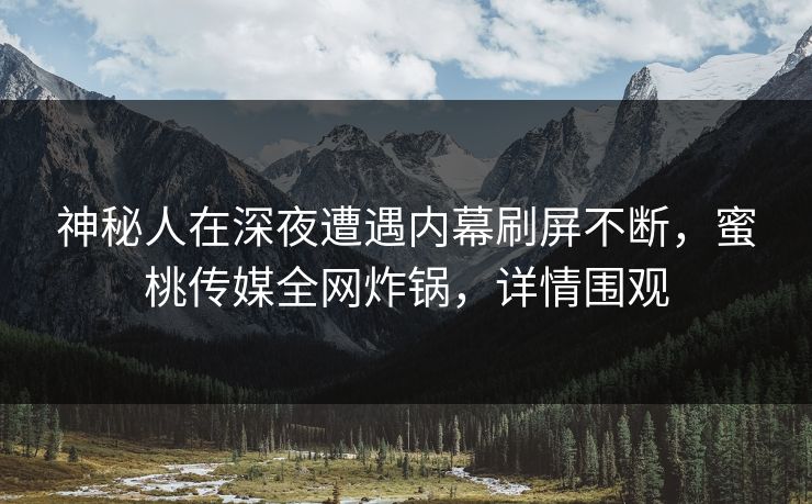 神秘人在深夜遭遇内幕刷屏不断，蜜桃传媒全网炸锅，详情围观