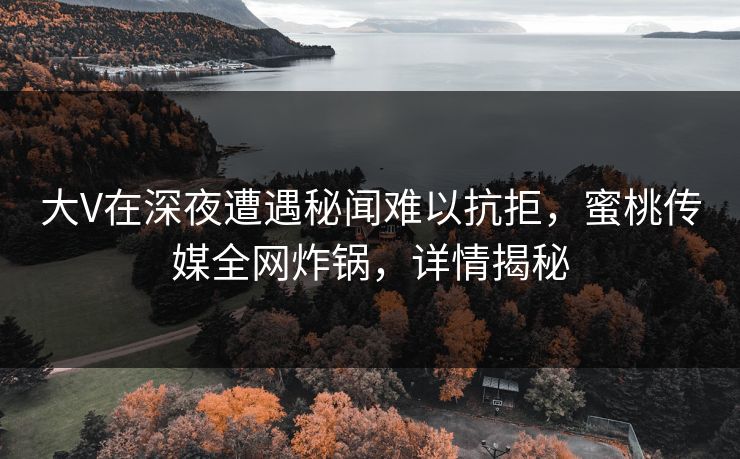 大V在深夜遭遇秘闻难以抗拒，蜜桃传媒全网炸锅，详情揭秘