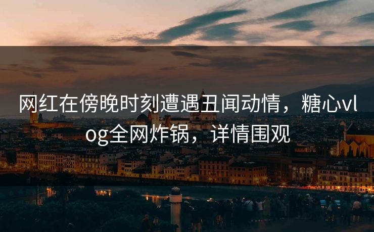 网红在傍晚时刻遭遇丑闻动情，糖心vlog全网炸锅，详情围观