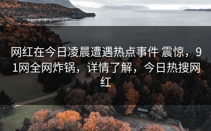 网红在今日凌晨遭遇热点事件 震惊，91网全网炸锅，详情了解，今日热搜网红