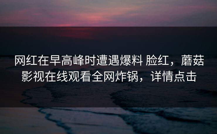 网红在早高峰时遭遇爆料 脸红，蘑菇影视在线观看全网炸锅，详情点击